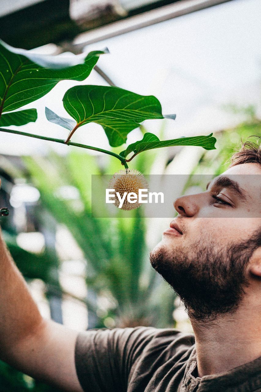 Close-up of man looking at flower on plant