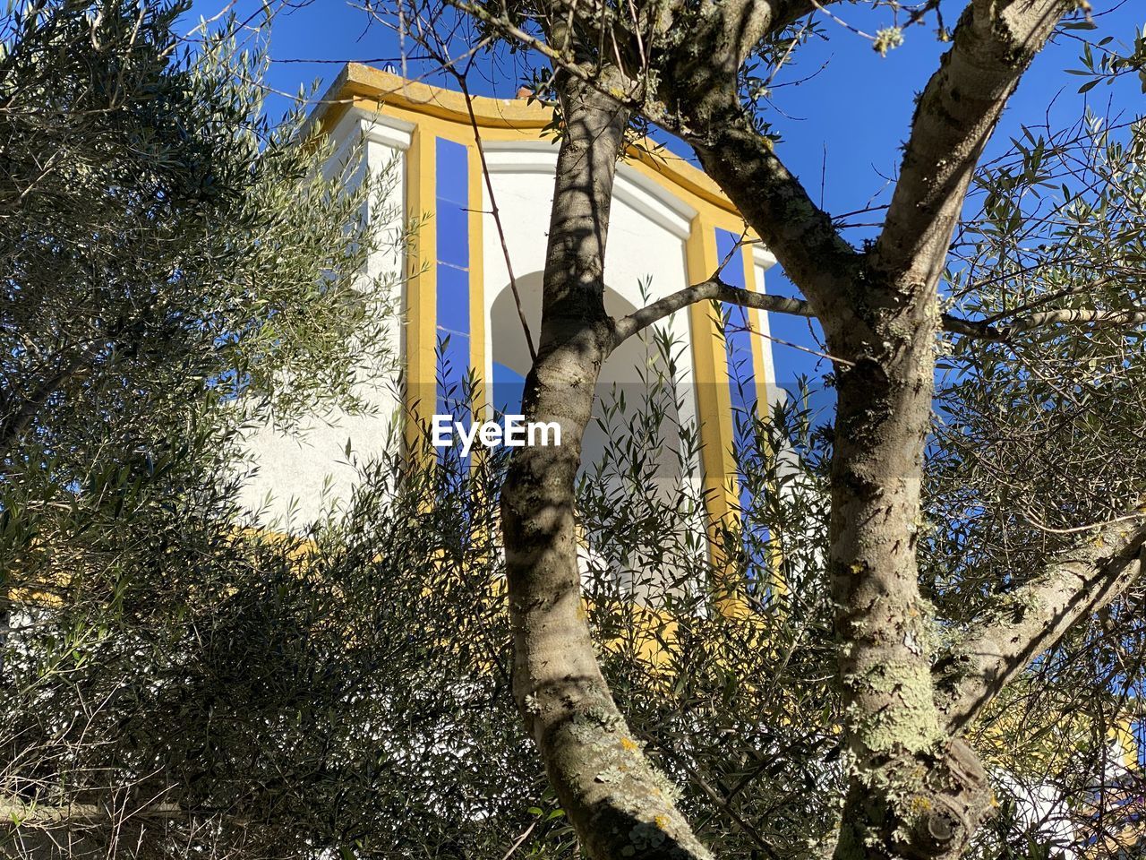 LOW ANGLE VIEW OF TREES AND BUILDING AGAINST CLEAR SKY