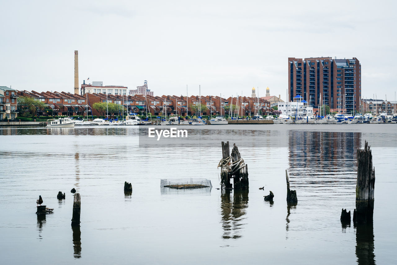 VIEW OF BIRDS IN LAKE AGAINST BUILDINGS