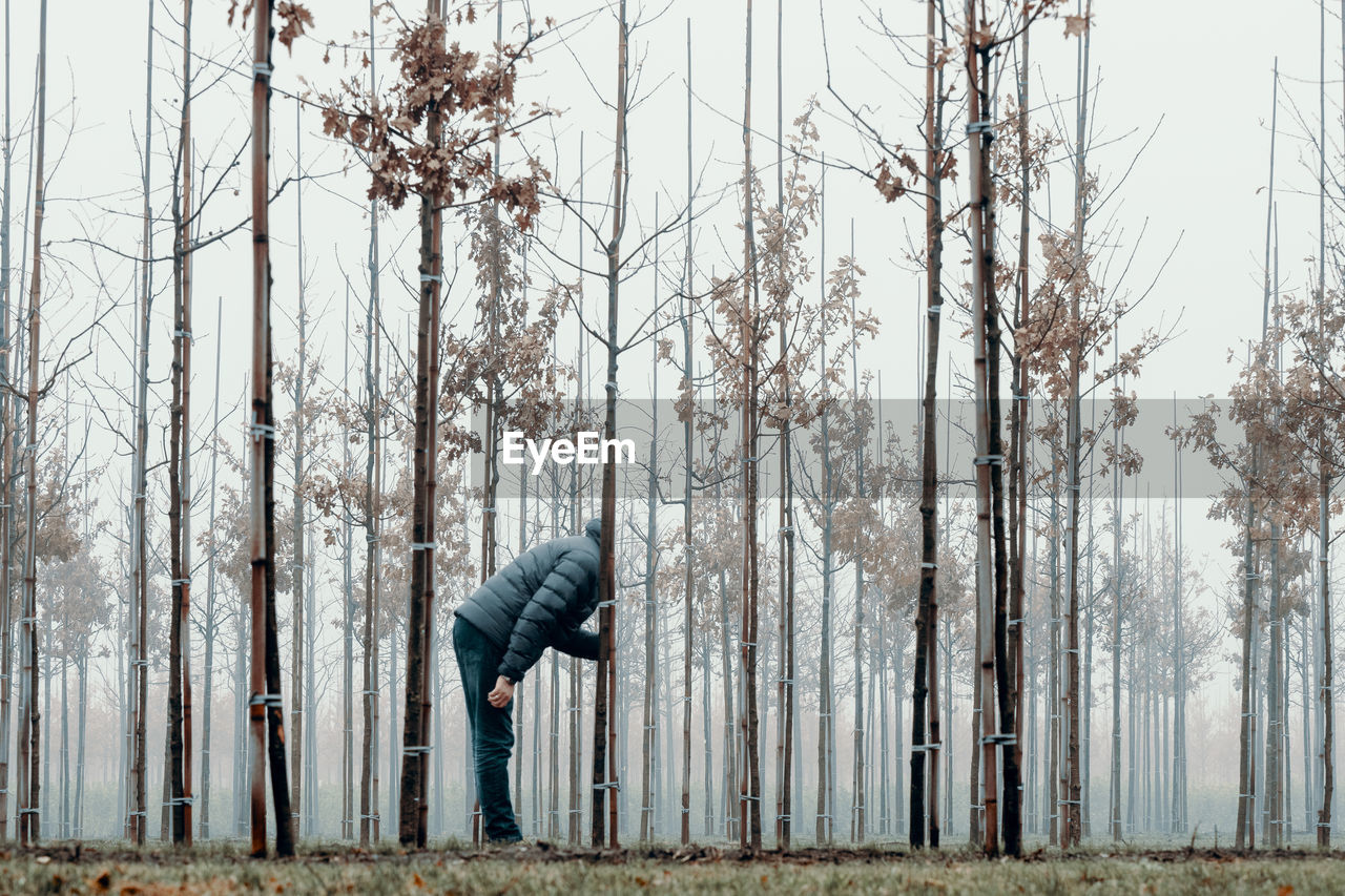 Man standing by bare trees in forest against sky