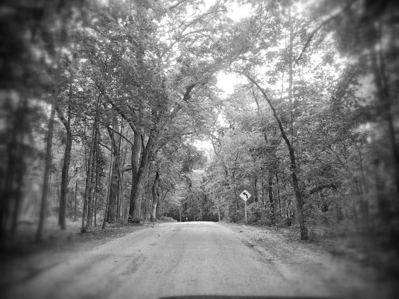 VIEW OF ROAD PASSING THROUGH FOREST