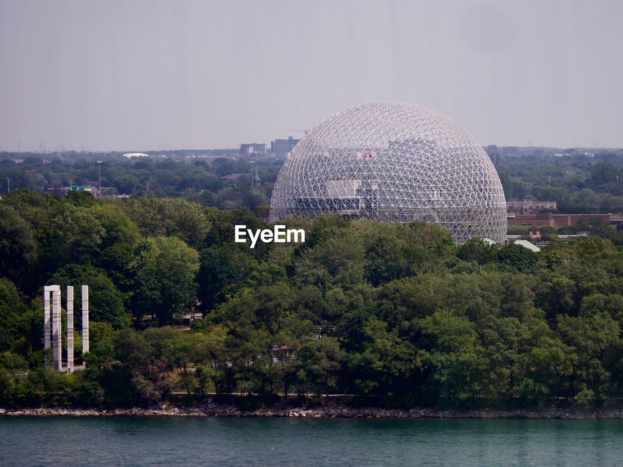 TREES WITH BUILDINGS IN BACKGROUND