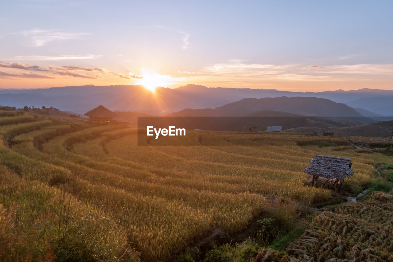 Scenic view of field against sky during sunset