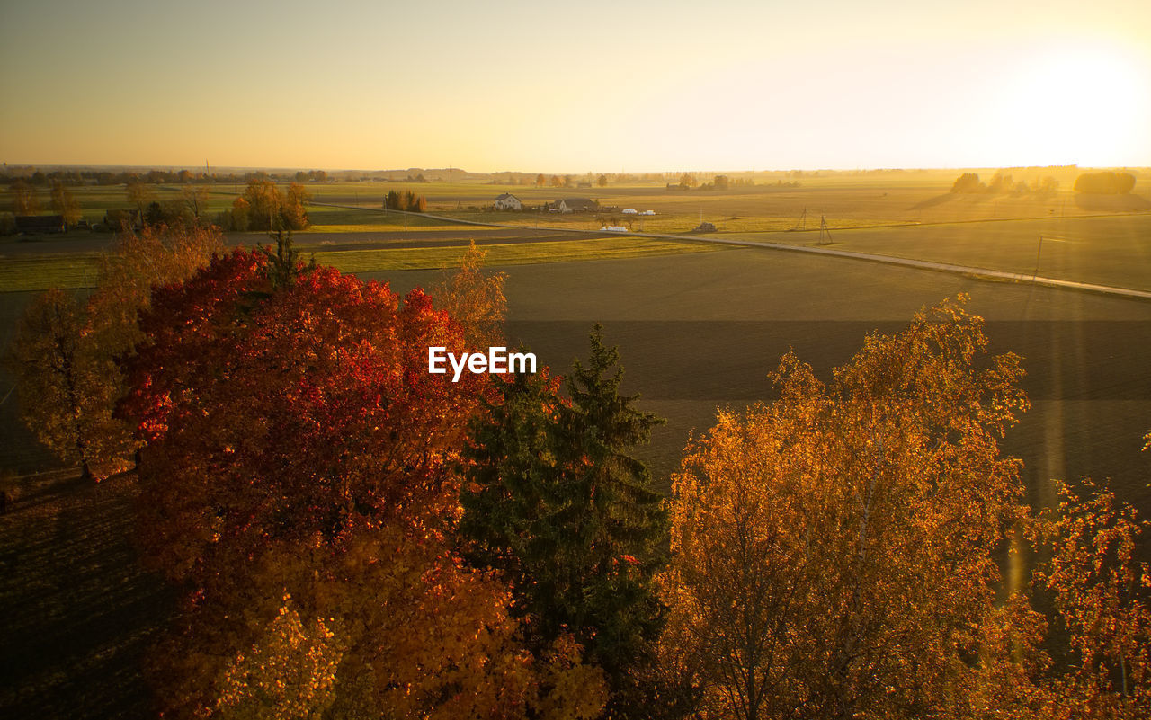 High angle view of trees on landscape against sky