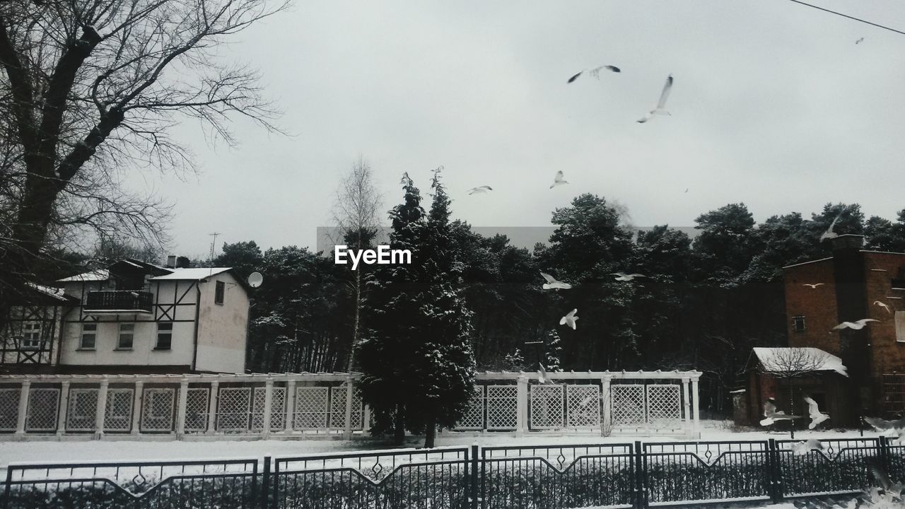 VIEW OF HOUSES AGAINST SKY