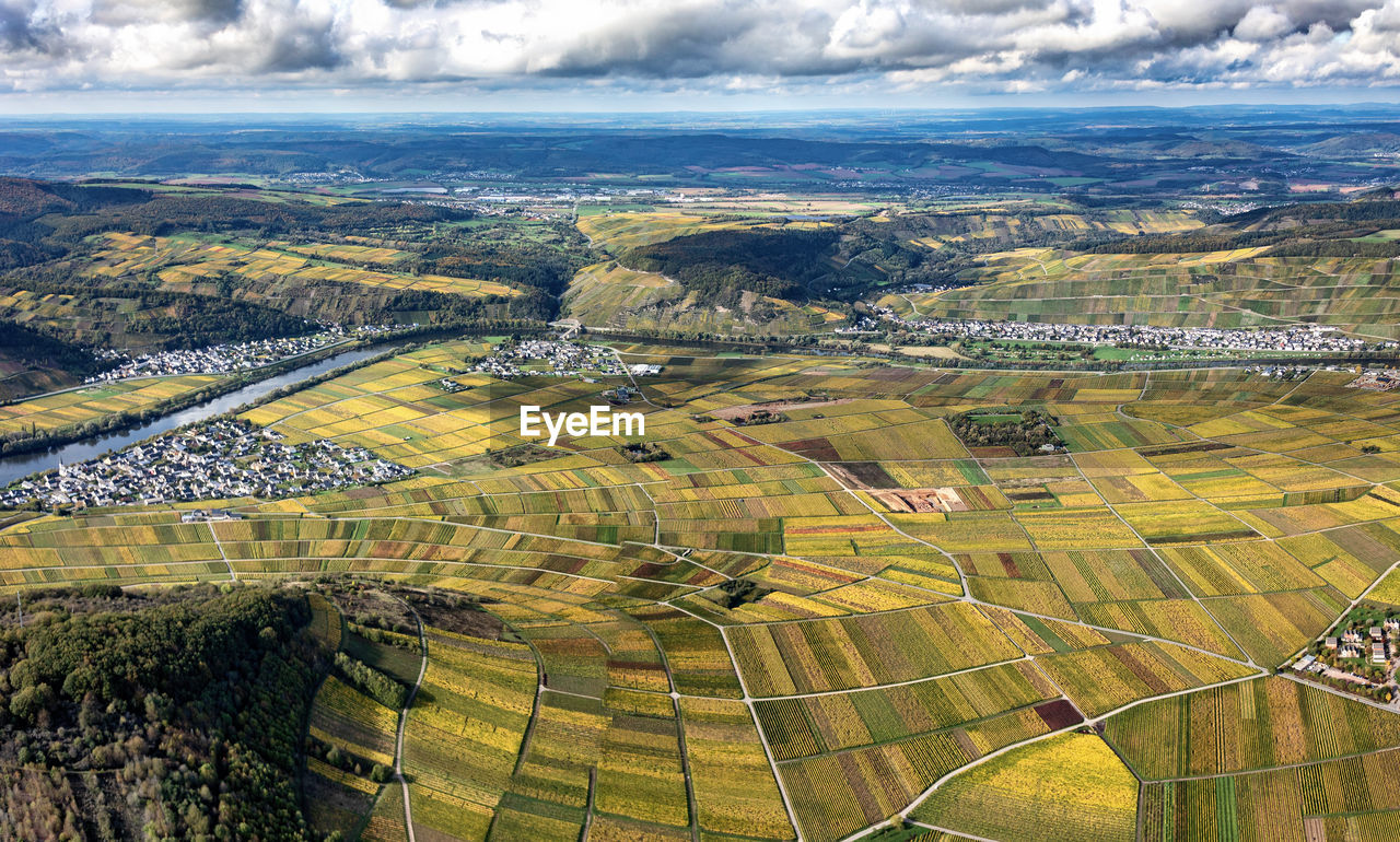 Buntes weinlaub im herbst, mosel