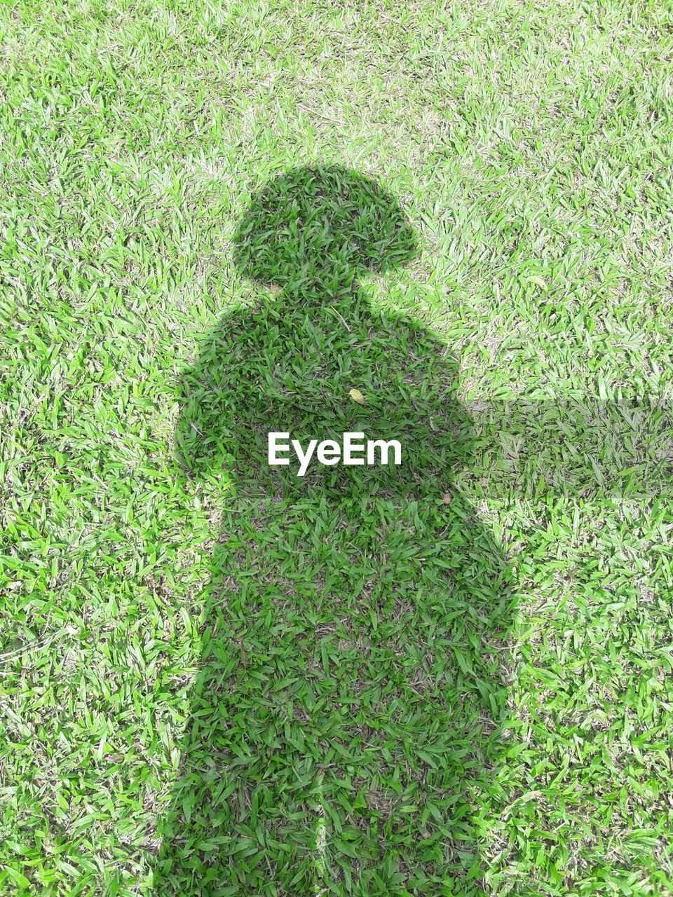 Shadow of person on grass