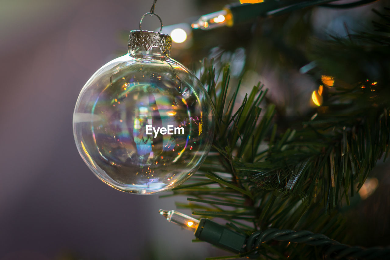 Close-up of ornament hanging on christmas tree