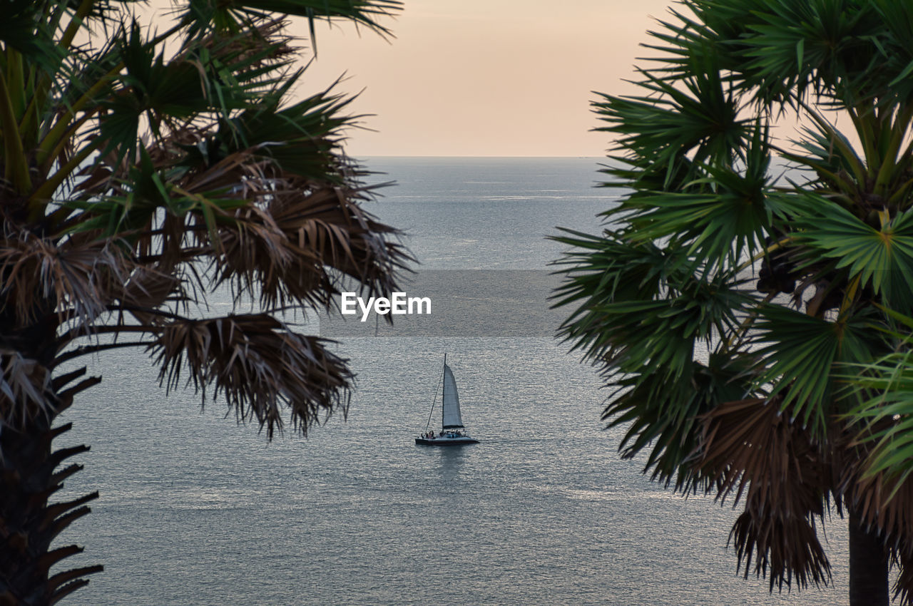 VIEW OF PALM TREES BY SEA AGAINST SKY