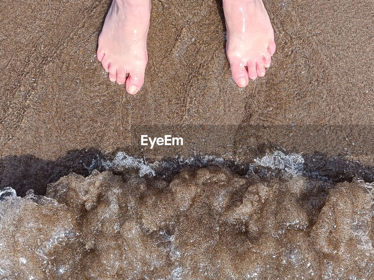 sand, beach, land, barefoot, low section, one person, human leg, water, high angle view, nature, soil, human foot, leisure activity, wet, vacation, sea, trip, day, lifestyles, holiday, standing, outdoors, limb, sunlight, directly above, flooring, women, adult, floor