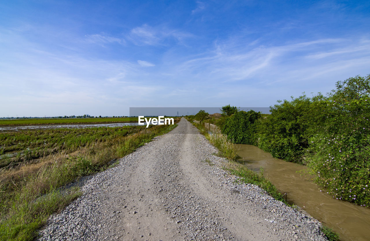 Dirt road along trees on field against sky