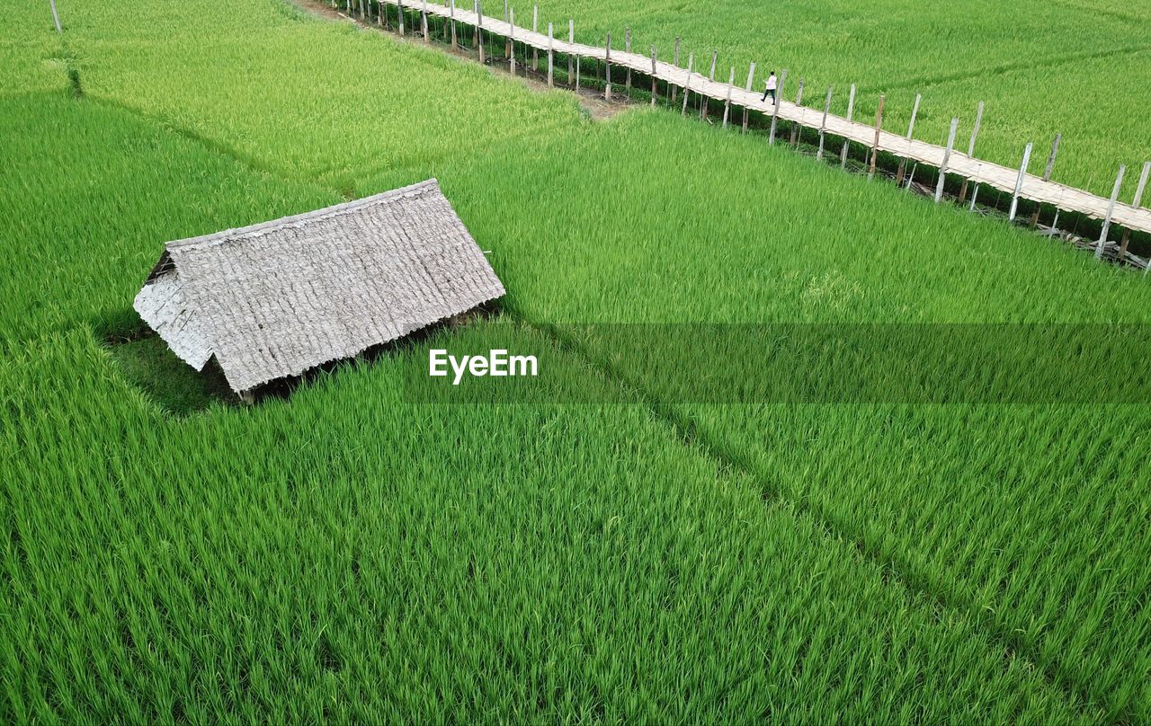 HIGH ANGLE VIEW OF GREEN FARM