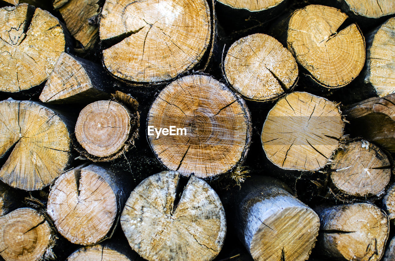 FULL FRAME SHOT OF LOGS IN WOOD