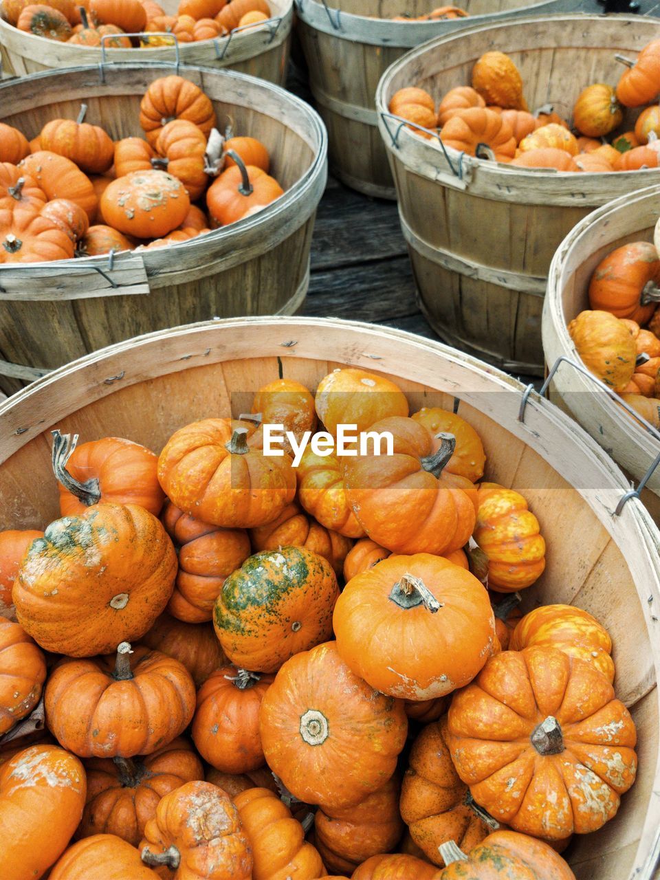 High angle view of pumpkins in basket