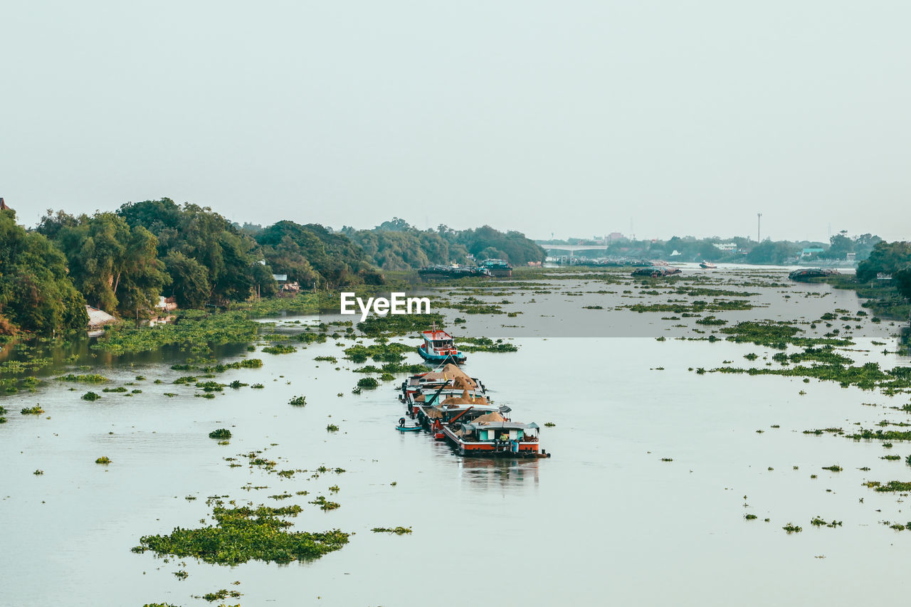 SCENIC VIEW OF RIVER BY TREES AGAINST CLEAR SKY