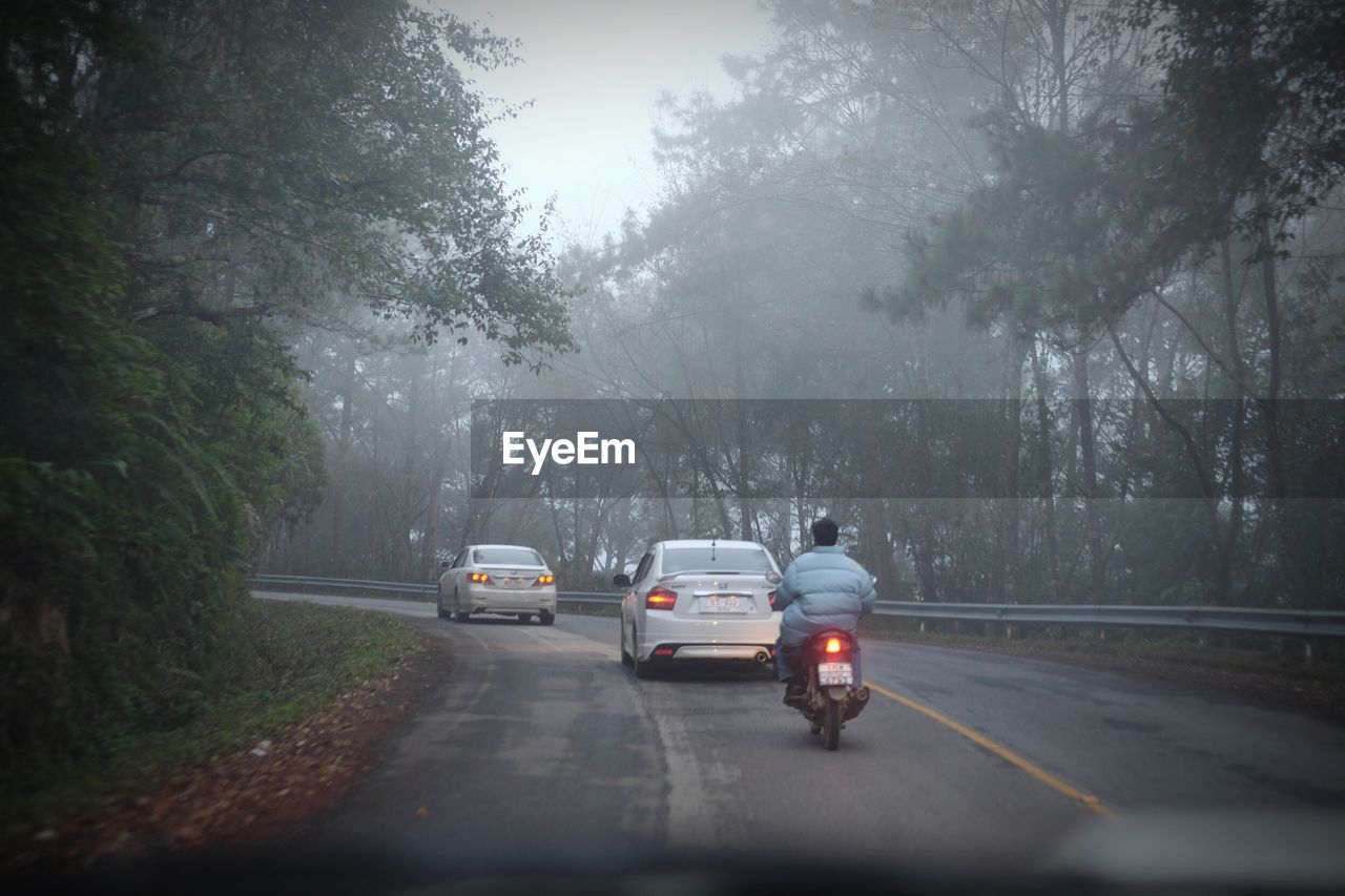 Cars on road by trees against sky