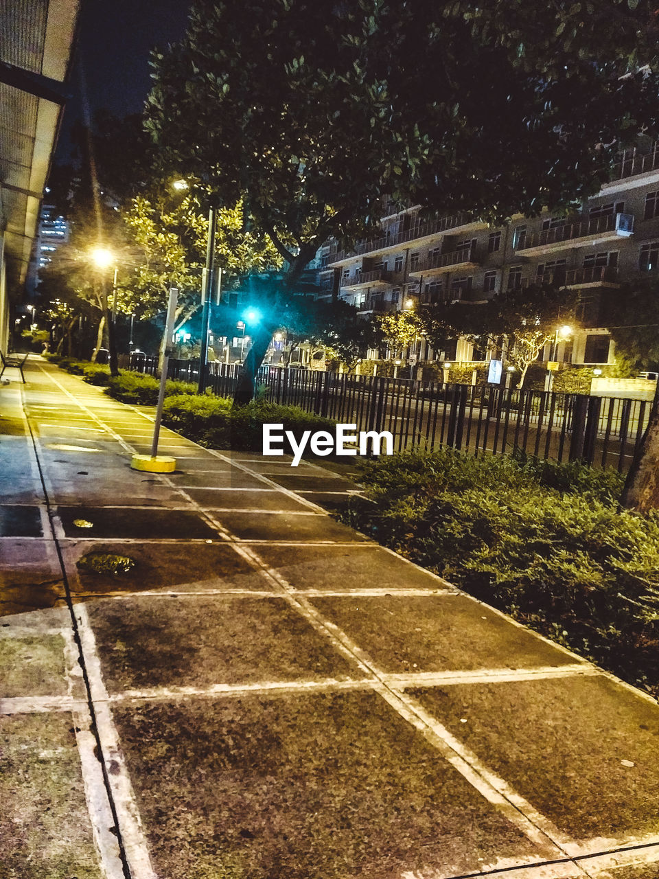 ILLUMINATED STREET LIGHT ON FOOTPATH AT NIGHT