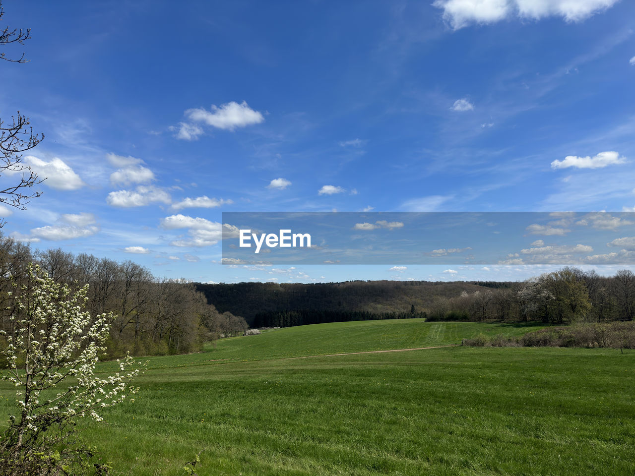 plant, sky, grass, landscape, environment, meadow, grassland, tree, hill, nature, cloud, scenics - nature, land, beauty in nature, field, pasture, green, tranquility, no people, tranquil scene, rural area, blue, prairie, rural scene, growth, lawn, non-urban scene, day, outdoors, plain, agriculture, natural environment, springtime, horizon, plateau, sunlight, flower, idyllic