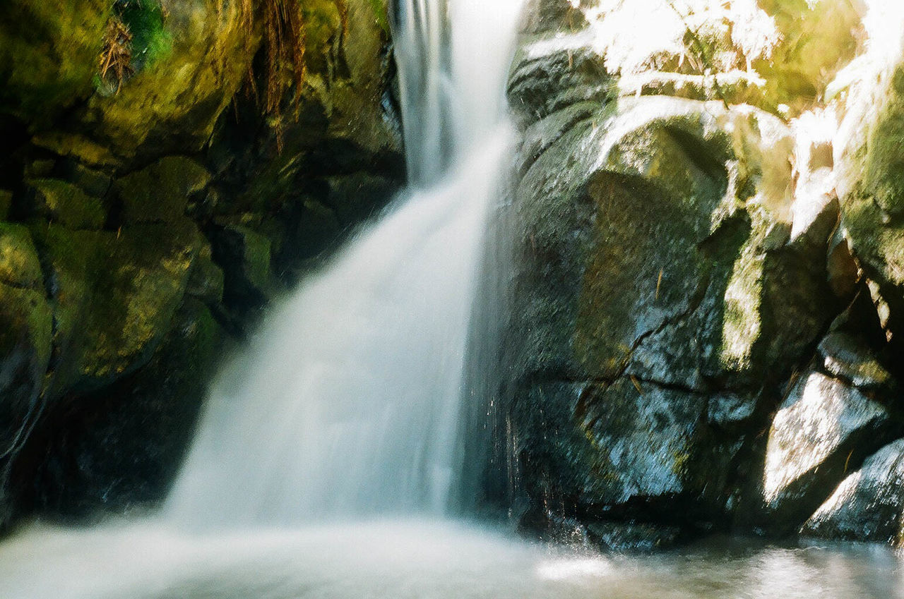 CLOSE-UP OF WATERFALL AGAINST TREES AT FOREST