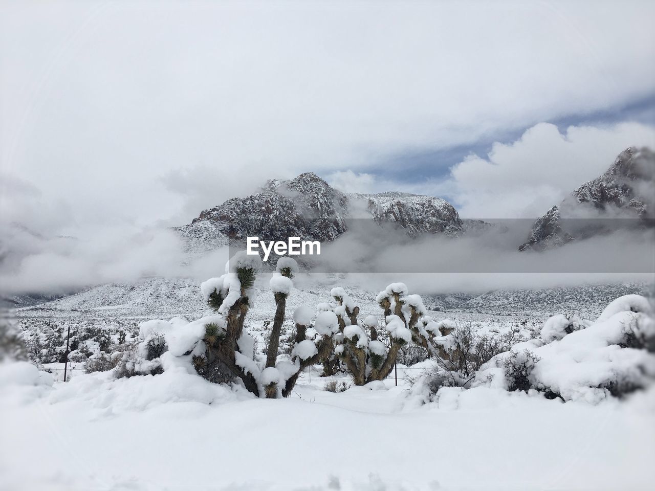 Snow covered land and mountains against sky