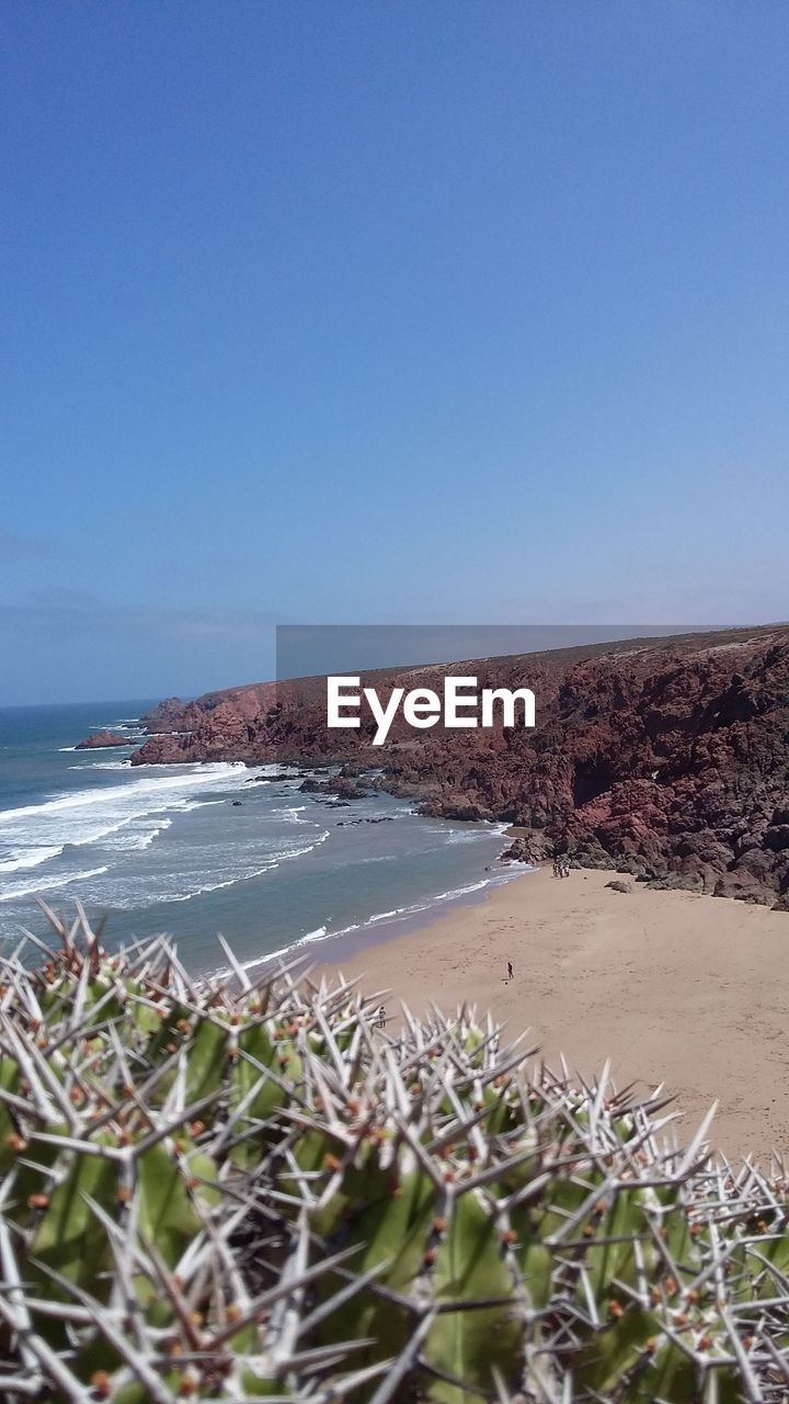 High angle view of cactus and beach against blue sky