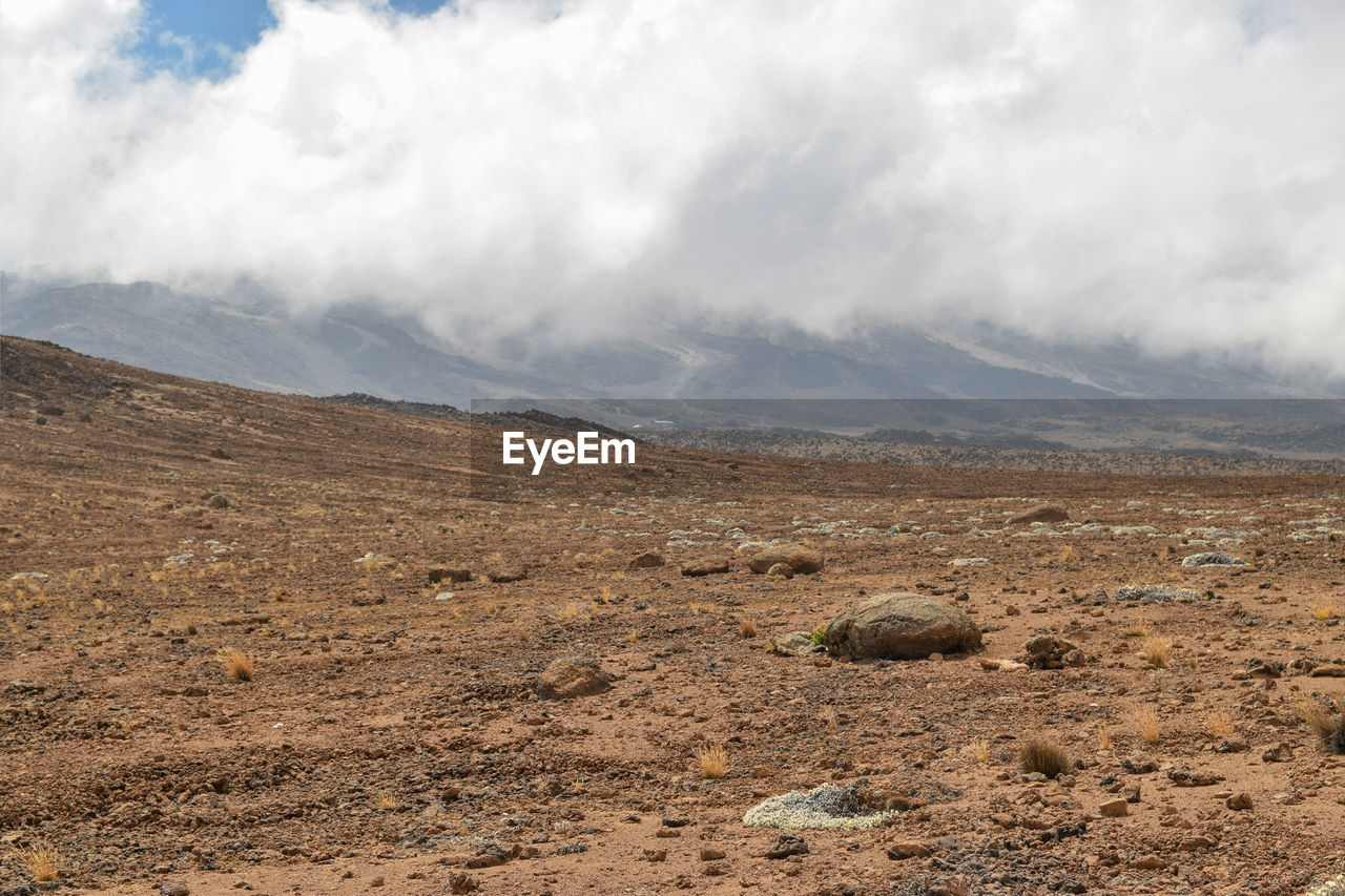 Highland desert at mount kilimanjaro, tanzania