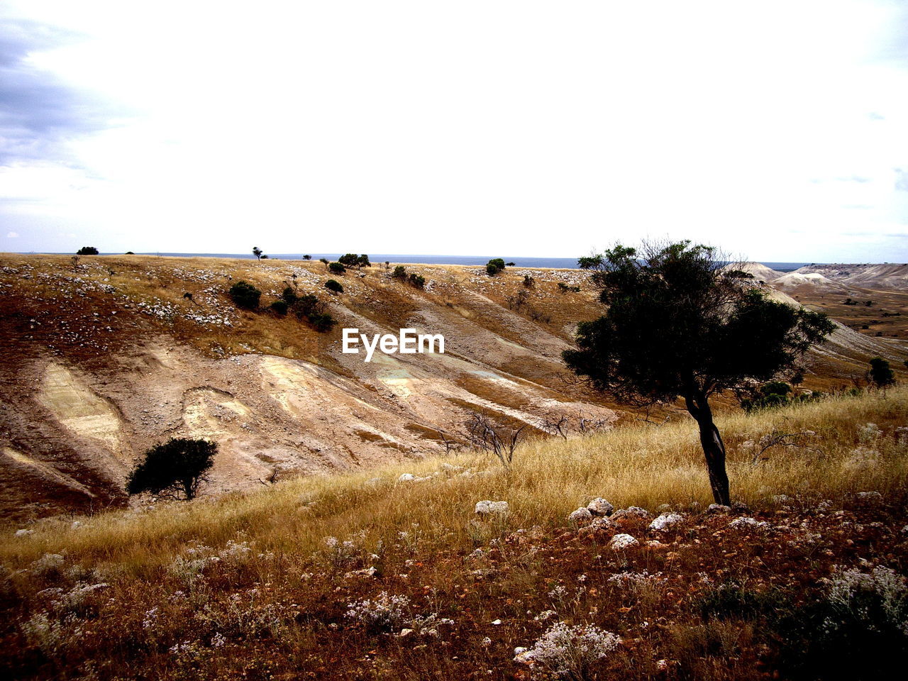 SCENIC VIEW OF LAND AGAINST SKY