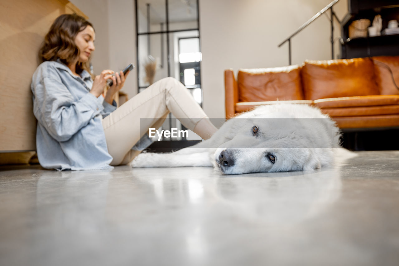 Woman using phone by dog while sitting on floor