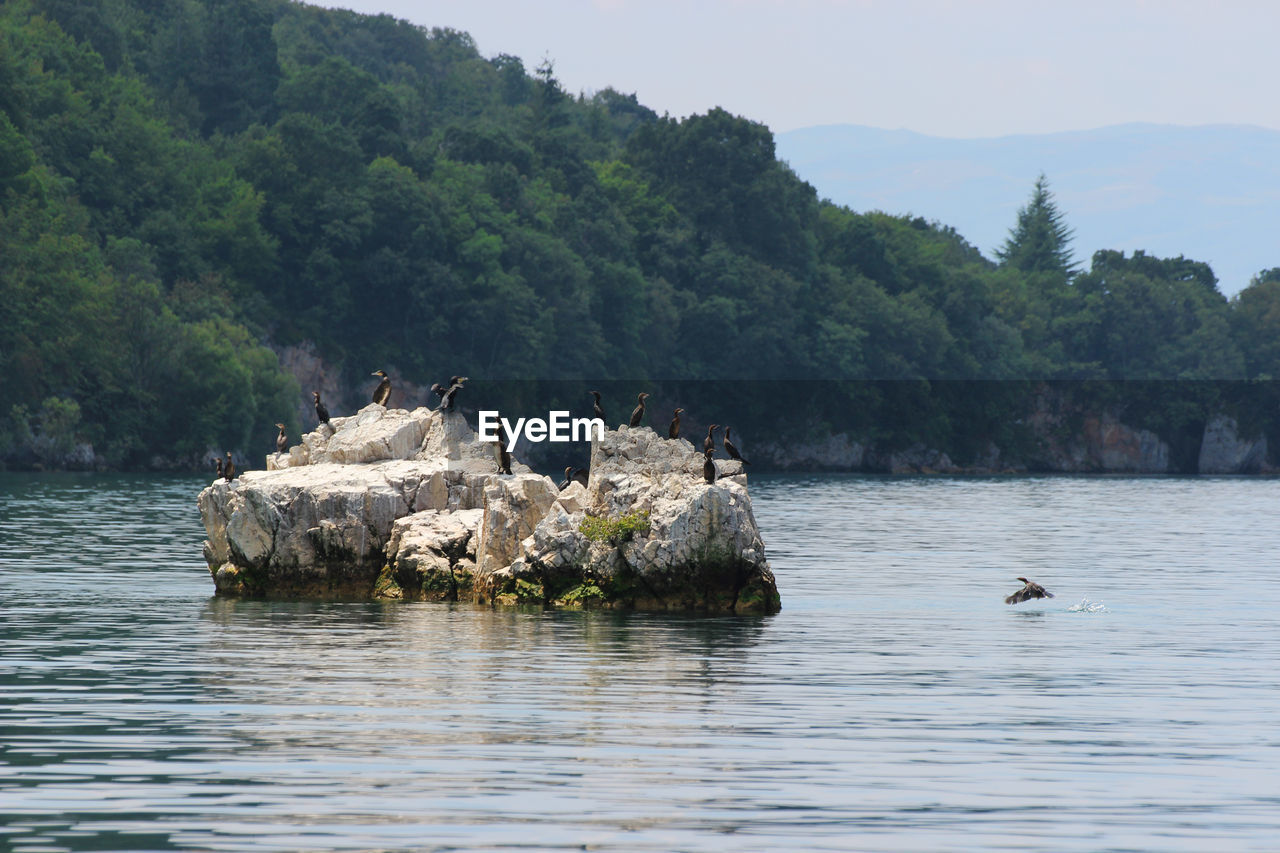 SCENIC VIEW OF LAKE