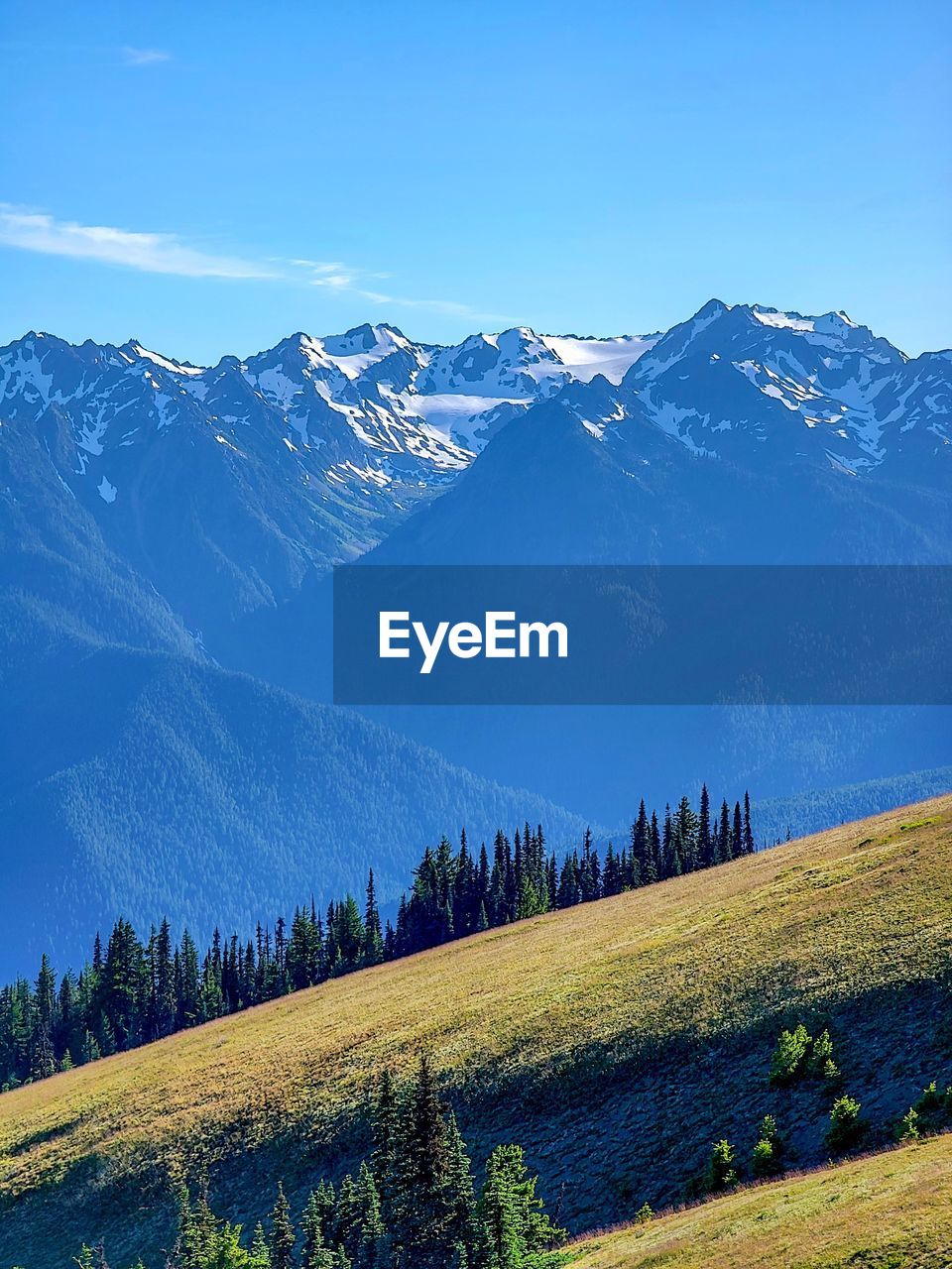 Scenic view of snowcapped mountains against blue sky from hurricane ridge