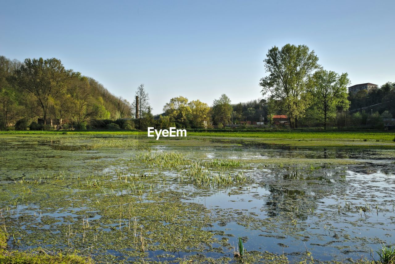 Water collected on field against clear sky