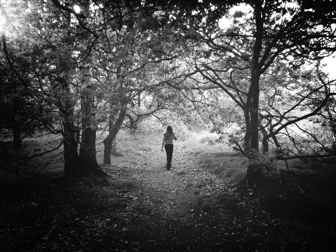 Rear view of woman walking on footpath amidst trees in forest