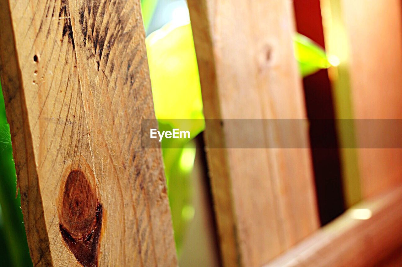 CLOSE-UP OF WOODEN PLANT AGAINST WOODEN WALL