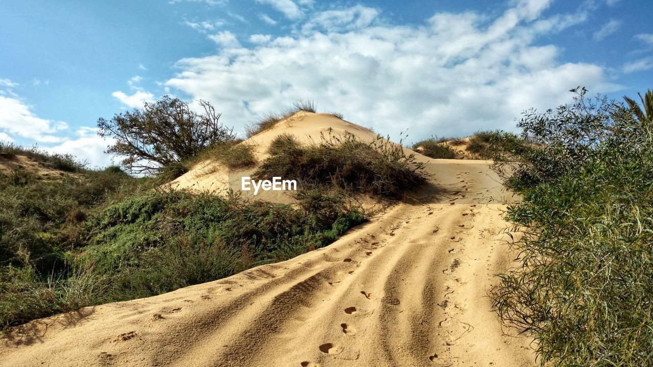 Dirt road amidst land and trees against sky