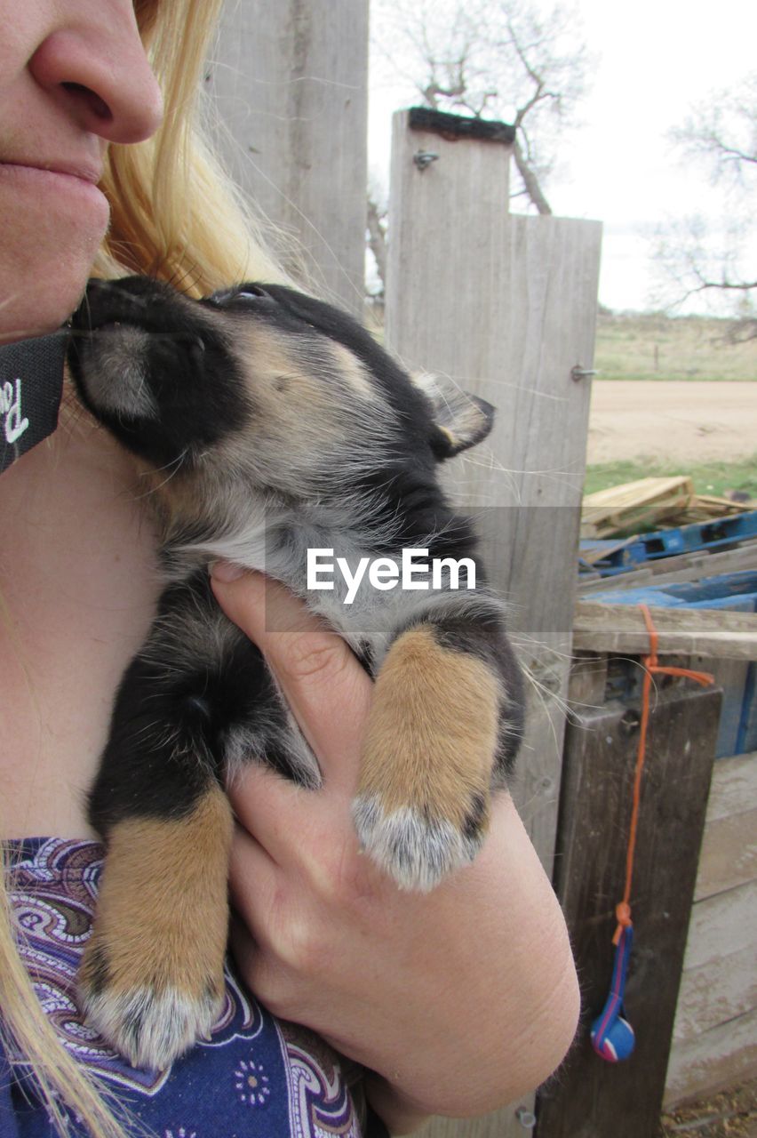 Close-up of woman pampering puppy