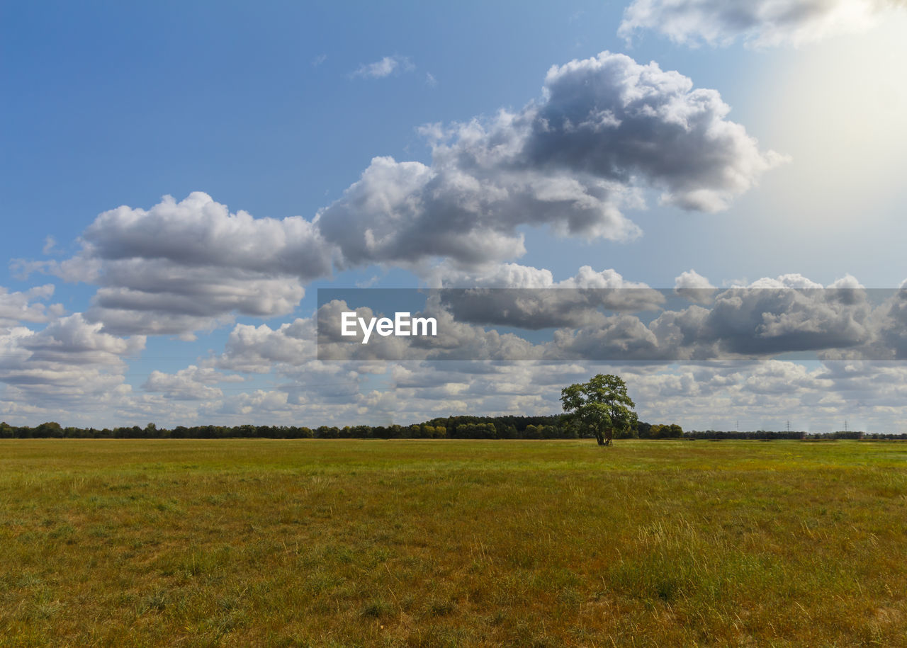 SCENIC VIEW OF FIELD AGAINST CLOUDY SKY