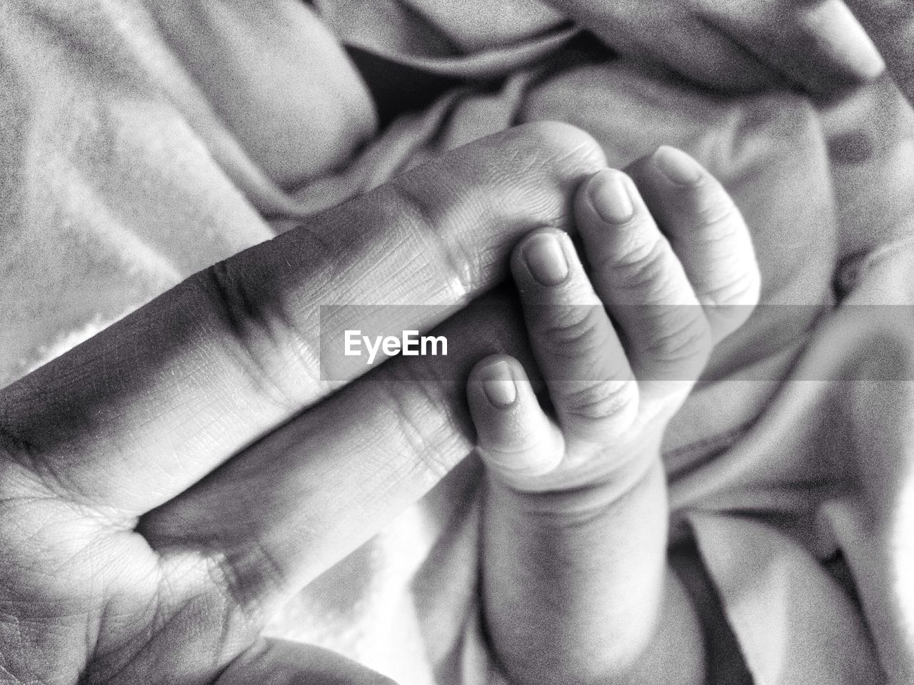 Cropped image of baby holding father hand