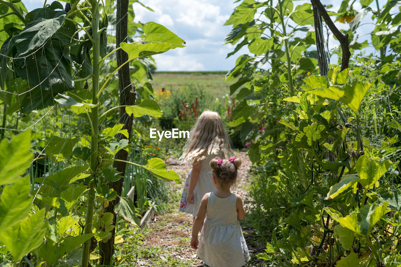 Rear view of girls amidst plants