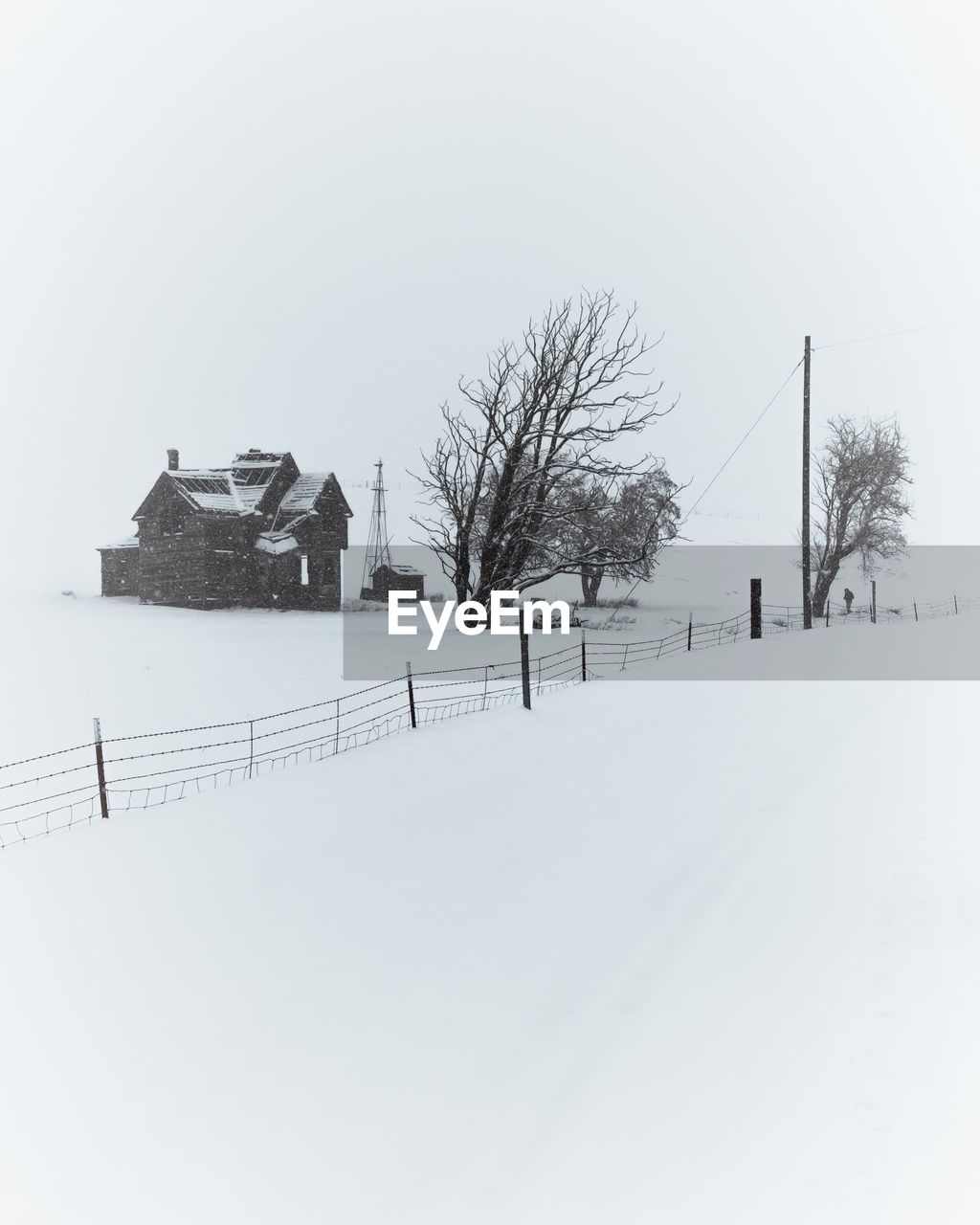 Trees on snow covered landscape against sky