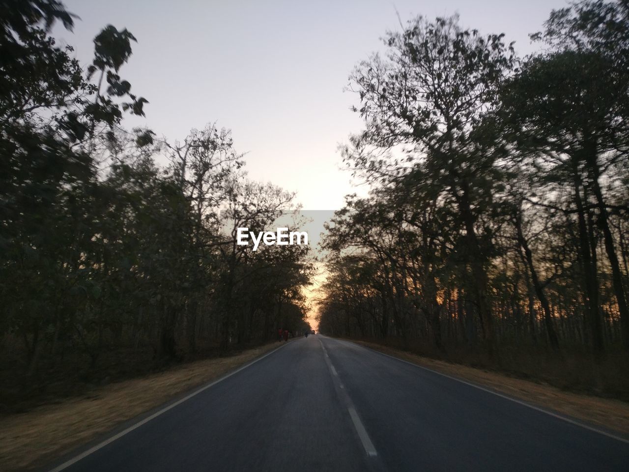 Road amidst trees against sky