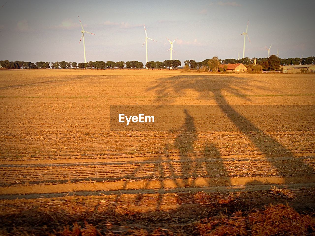Shadow of person riding bicycle on field
