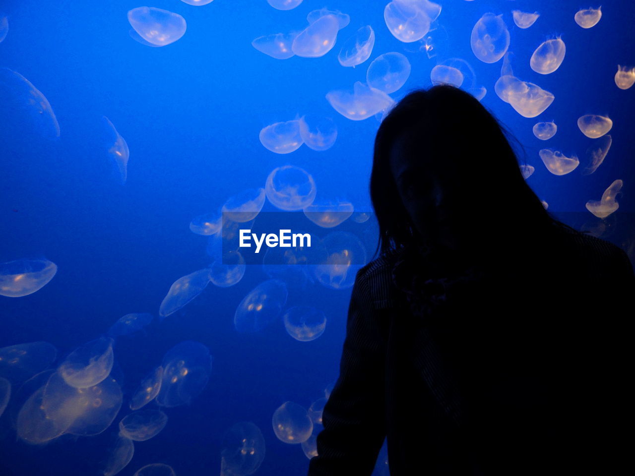 Silhouette man standing against jellyfishes in fish tank at aquarium