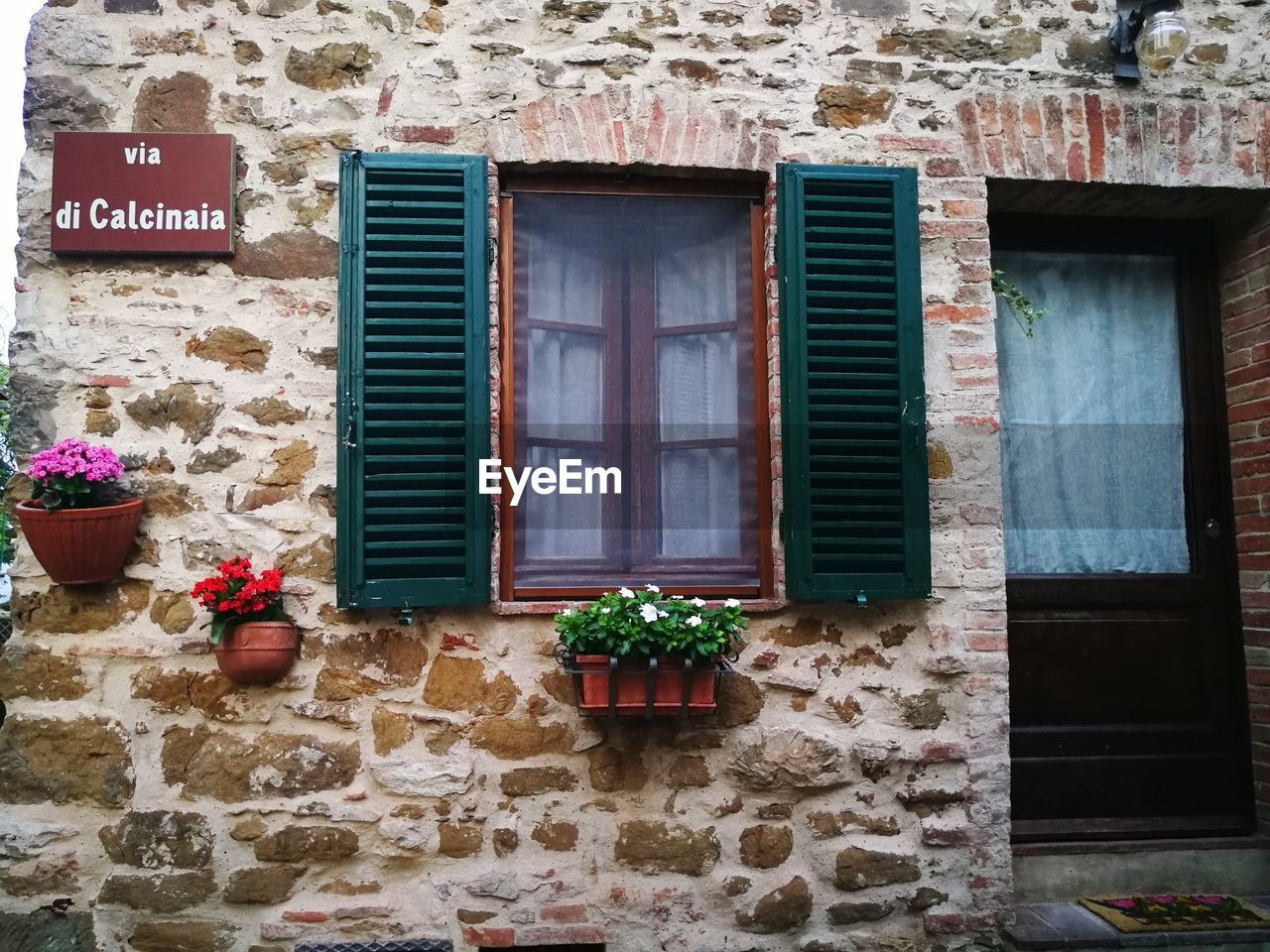 POTTED PLANT ON WINDOW