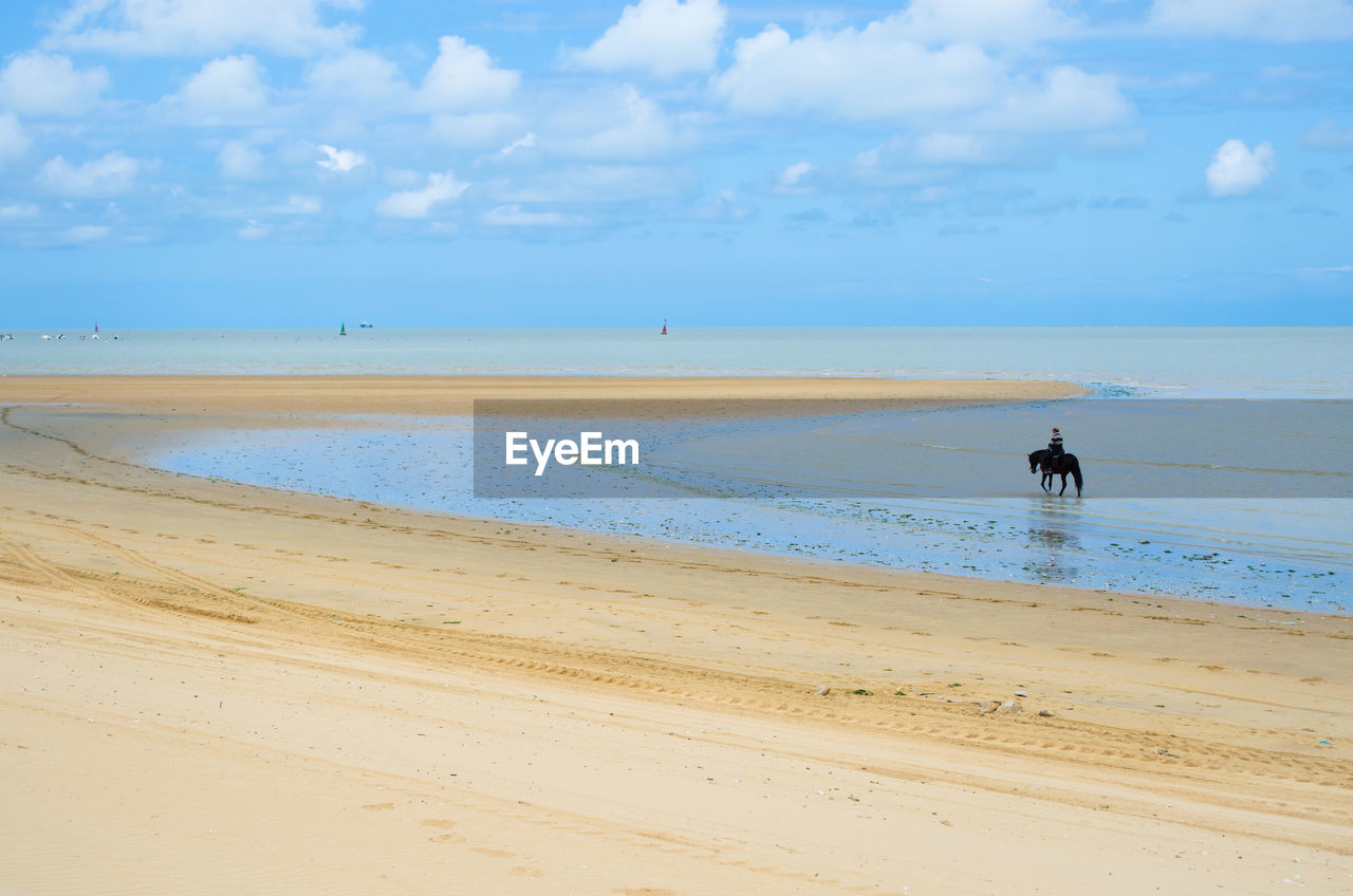 Man riding horse on beach by sea against sky