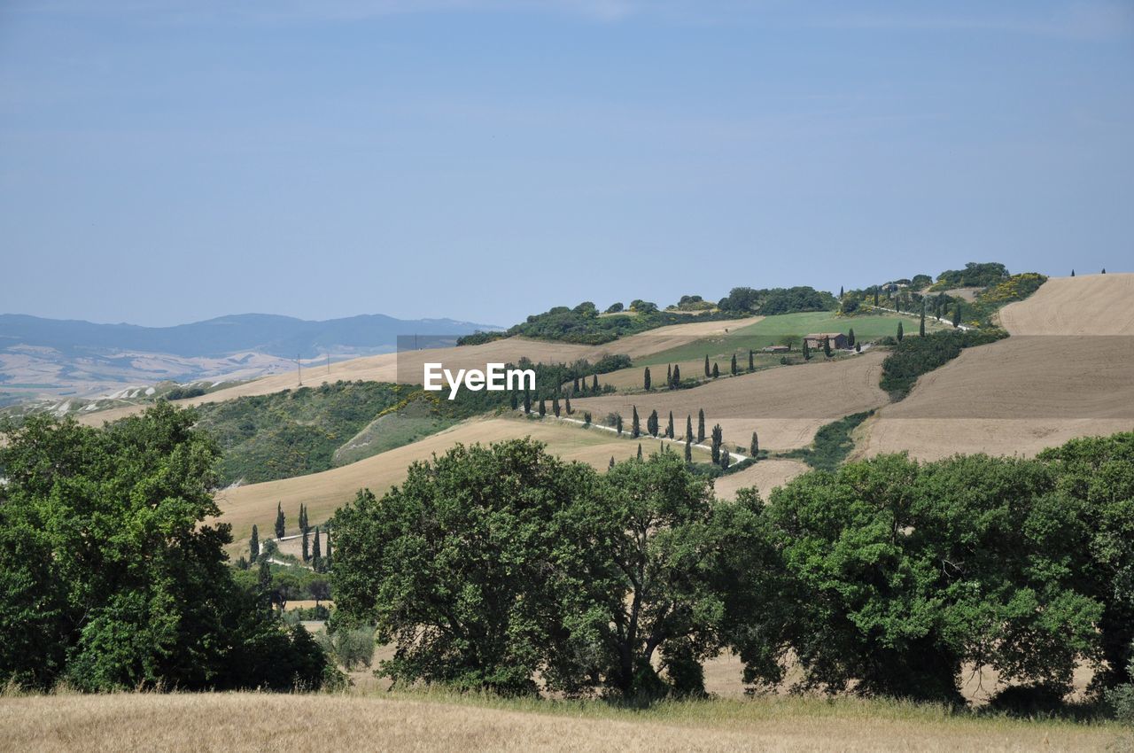 Scenic view of landscape against clear sky