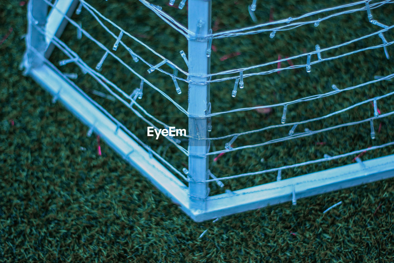 High angle view of green plants on field