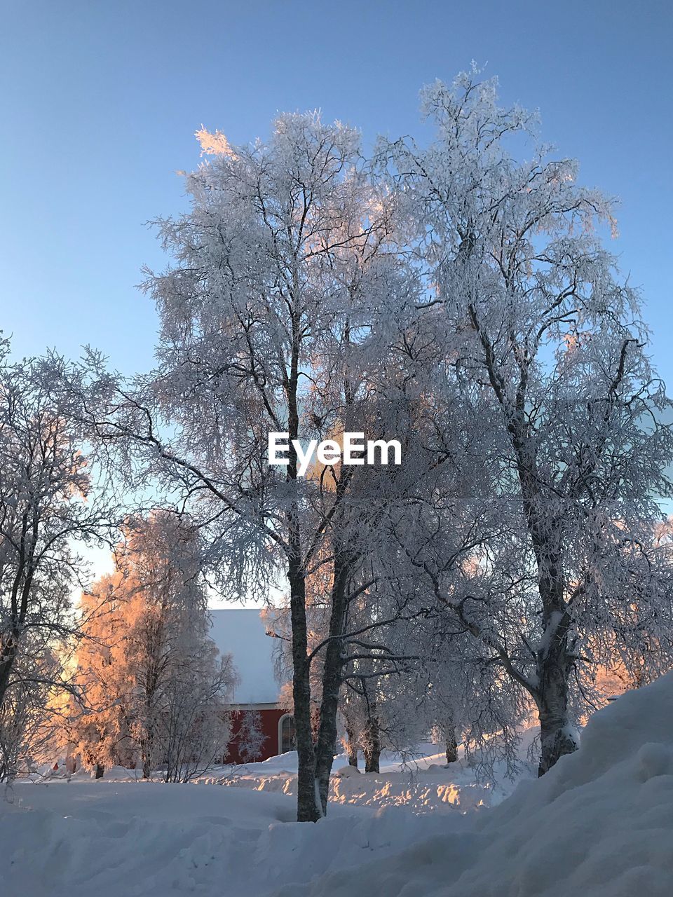 VIEW OF SNOW COVERED LANDSCAPE