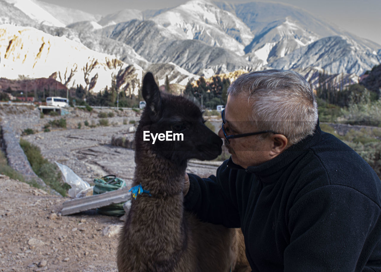 Man looking at llama against mountains
