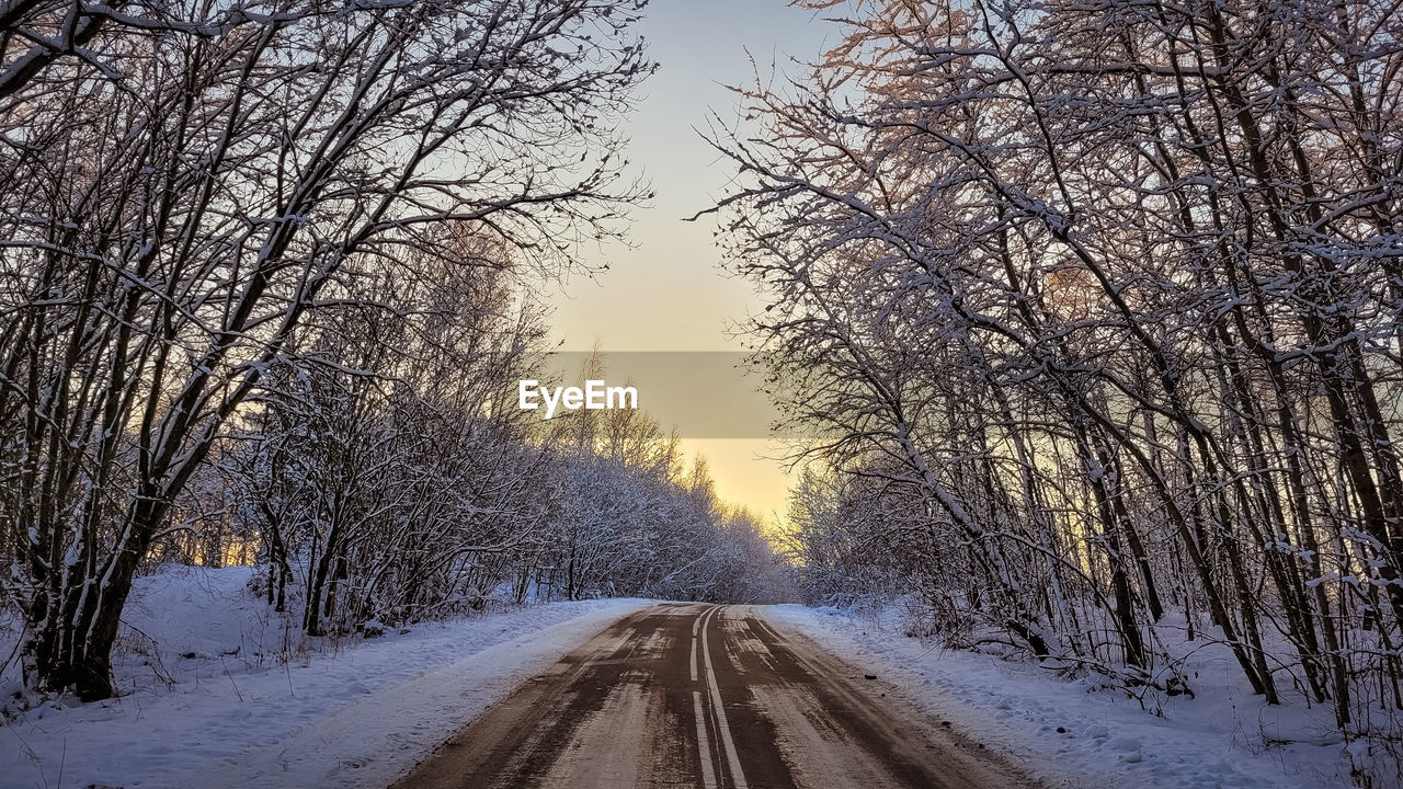 Road amidst bare trees during winter