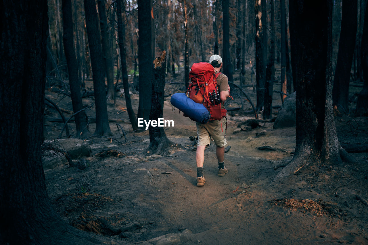 Man backpacking through old wildfire zone